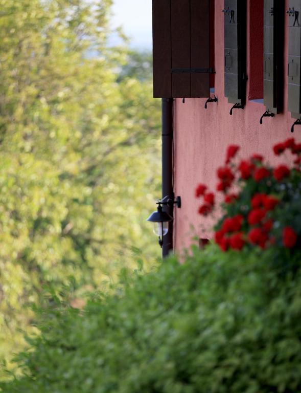 Agriturismo Casa Rossa Ai Colli Ragogna Exterior photo